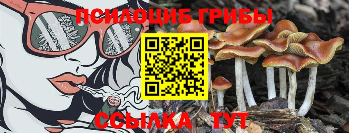 Галлюциногенные грибы GOLDEN TEACHER  Вход с VPN  Жигулёвск 
